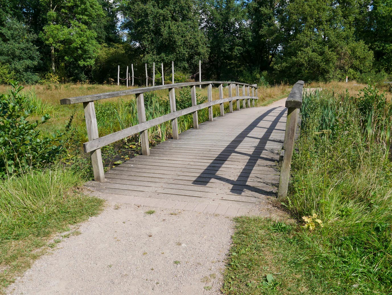 De_Lutte_Arboretum_Poort_Bulten_05-09-2022-03
