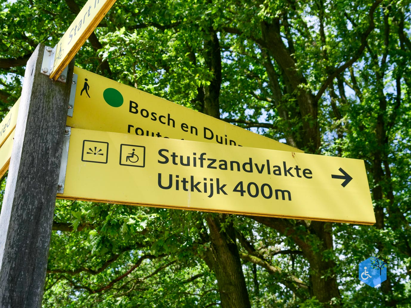 Udenhout_Uitkijkpunt_Bosch_en_Duin_23-06-2023-02