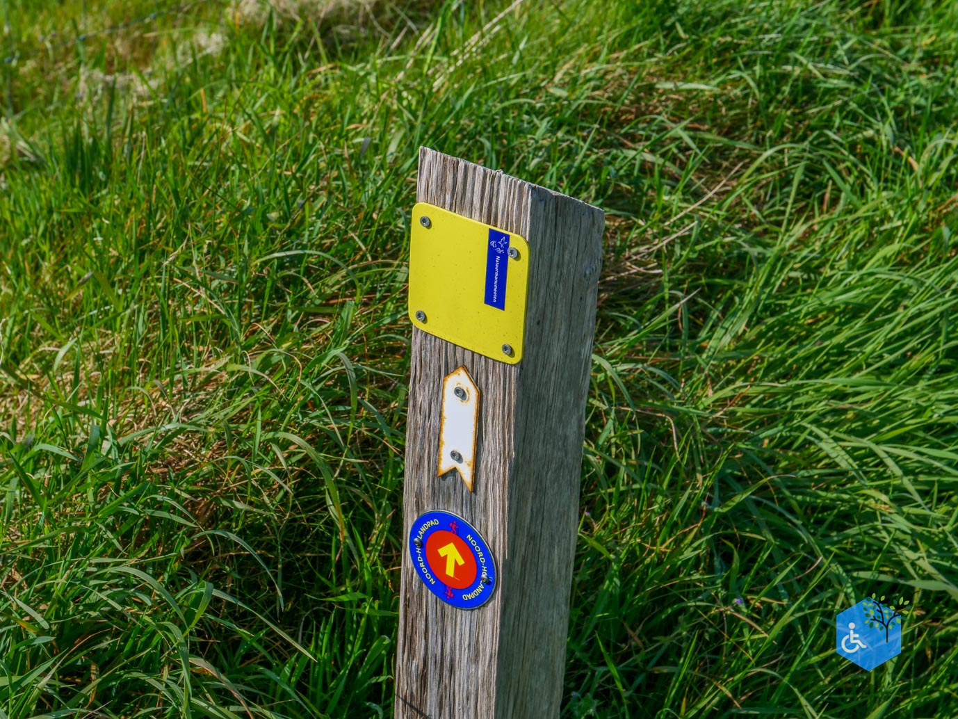 De_Waal_Ommetje_De_Marel_02-05-2024-03