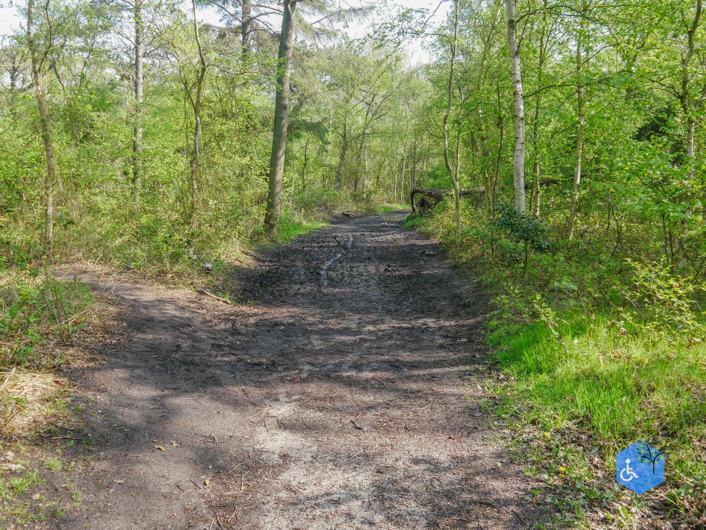 De_Koog_Natuurpad_Alloo_01-05-2024-08