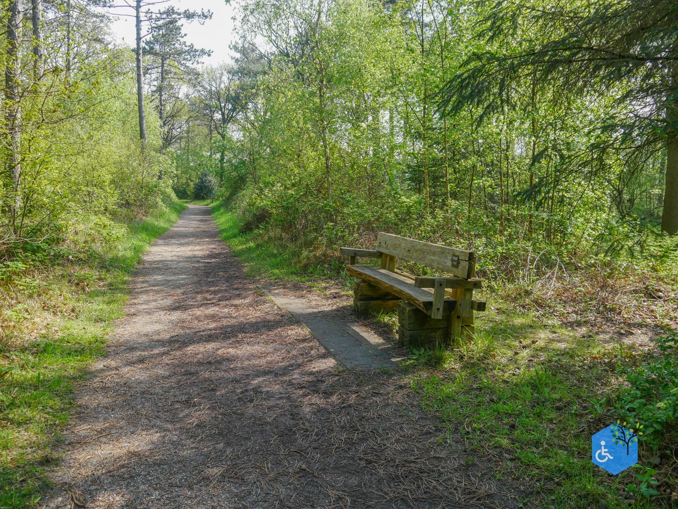 De_Koog_Natuurpad_Alloo_01-05-2024-10