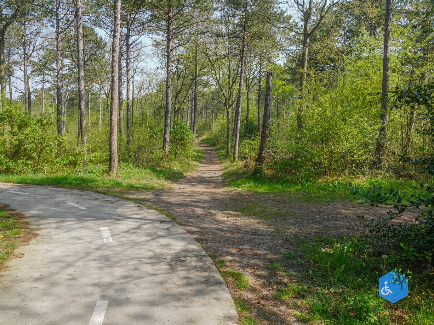 De_Koog_Natuurpad_Alloo_01-05-2024-19
