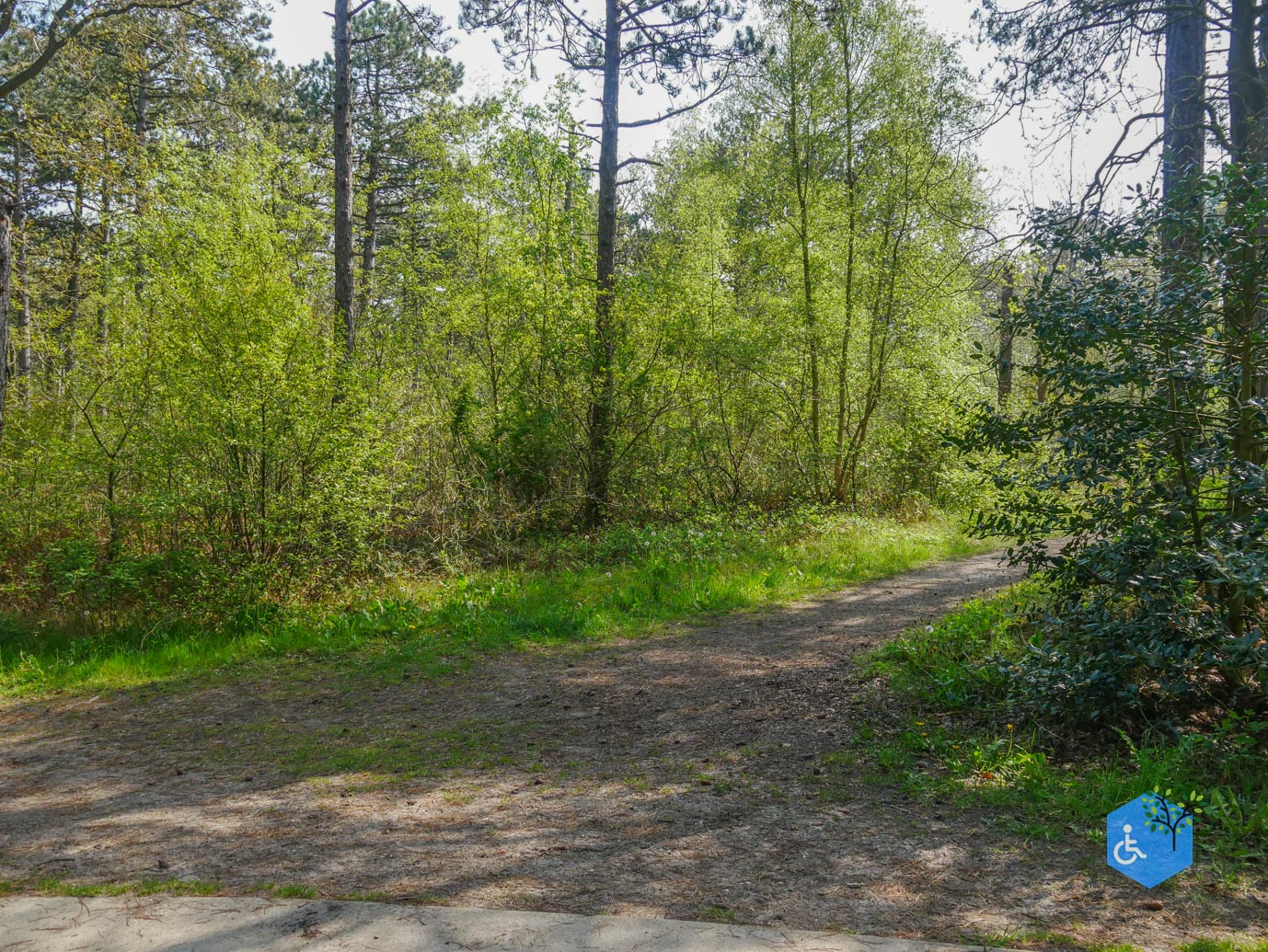 De_Koog_Natuurpad_Alloo_01-05-2024-20