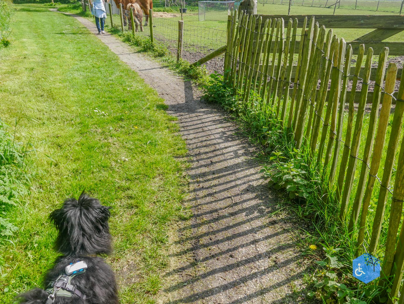 De_Koog_Natuurpad_Alloo_01-05-2024-25
