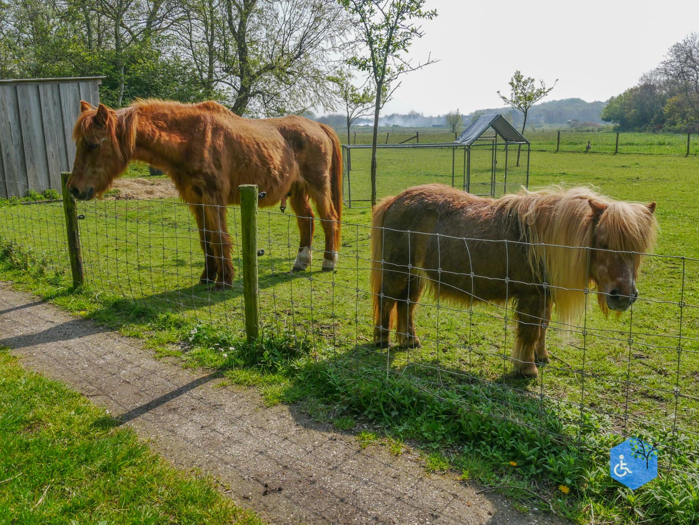 De_Koog_Natuurpad_Alloo_01-05-2024-26