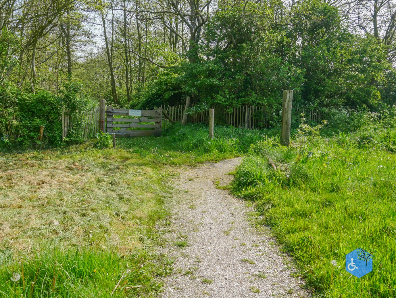 De_Koog_Natuurpad_Alloo_01-05-2024-32