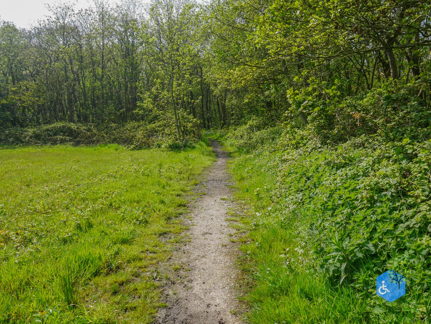 De_Koog_Natuurpad_Alloo_01-05-2024-39