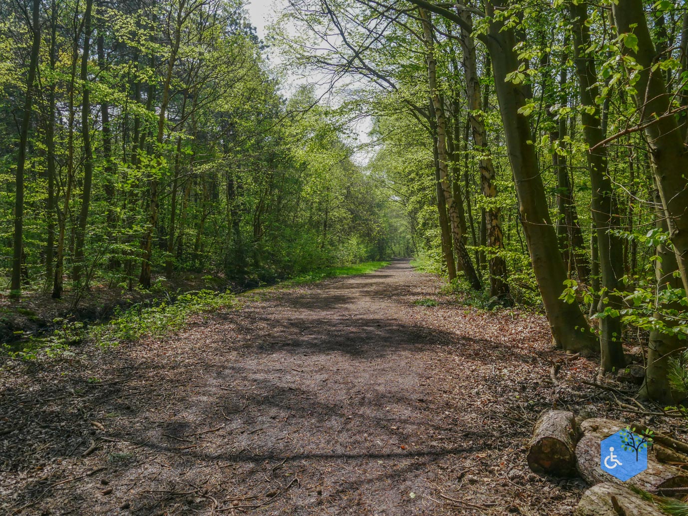 De_Koog_Natuurpad_Alloo_01-05-2024-51