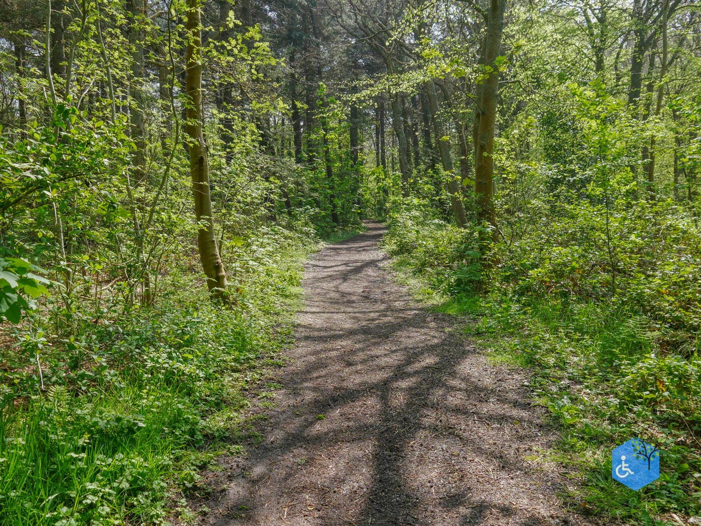 De_Koog_Natuurpad_Alloo_01-05-2024-55