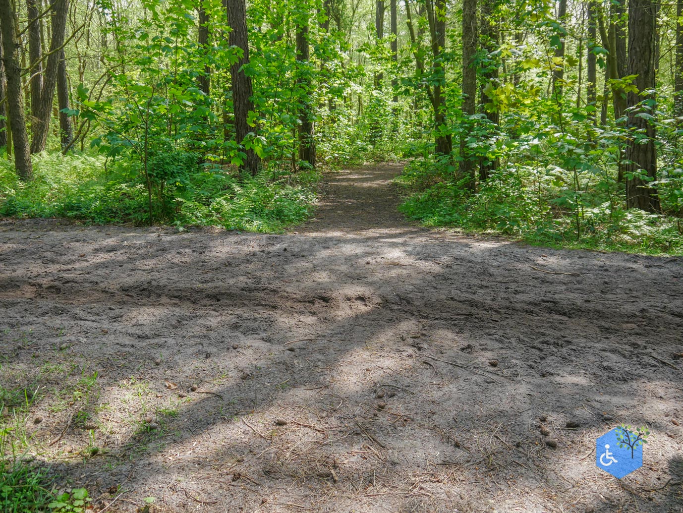 De_Koog_Natuurpad_Alloo_01-05-2024-57