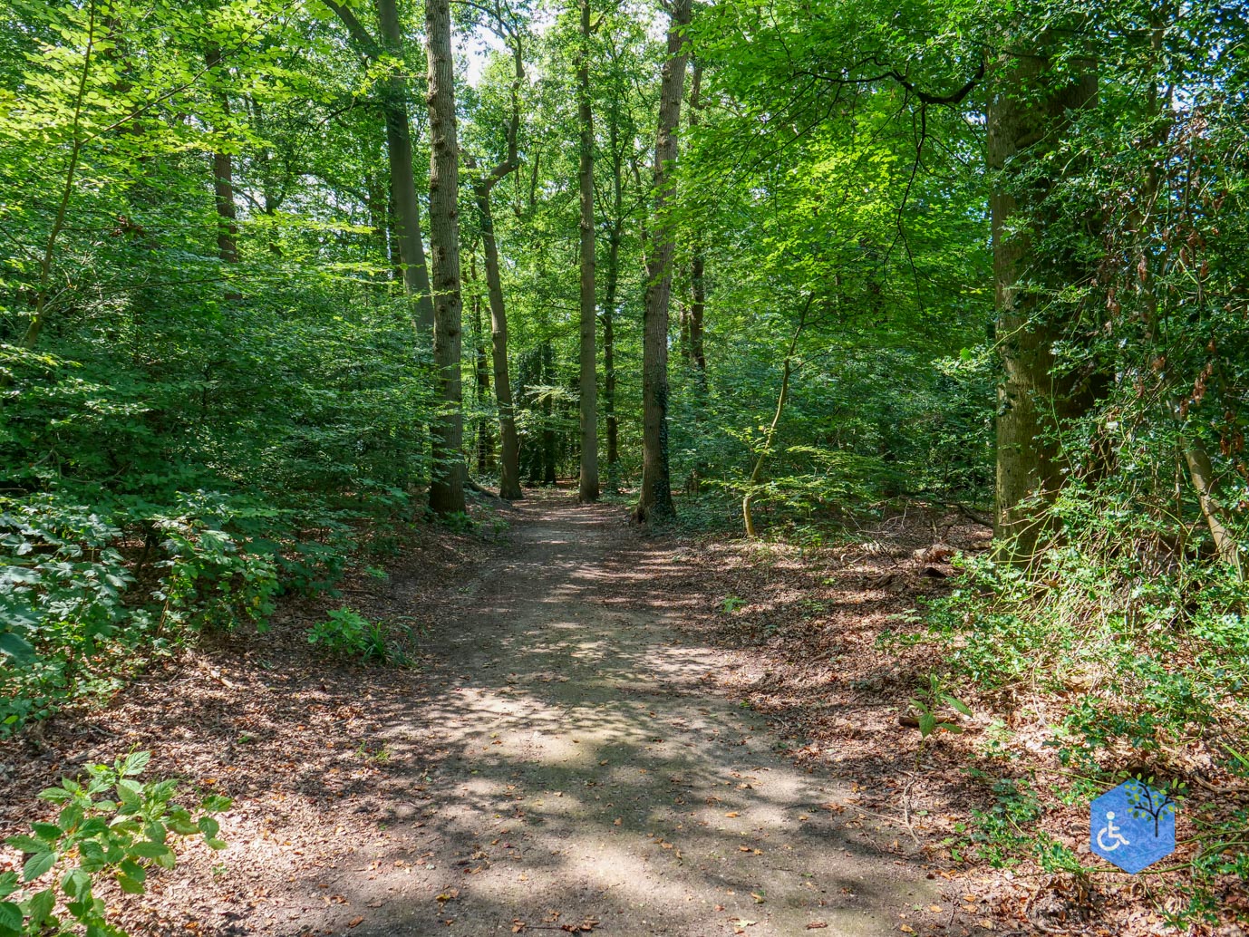 Doorn_Landgoed_Huis_Doorn_24-08-2024-10