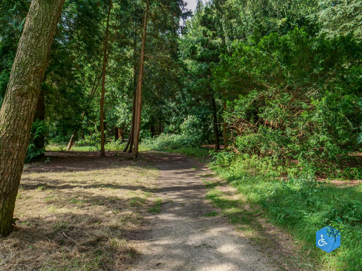 Doorn_Landgoed_Huis_Doorn_24-08-2024-15