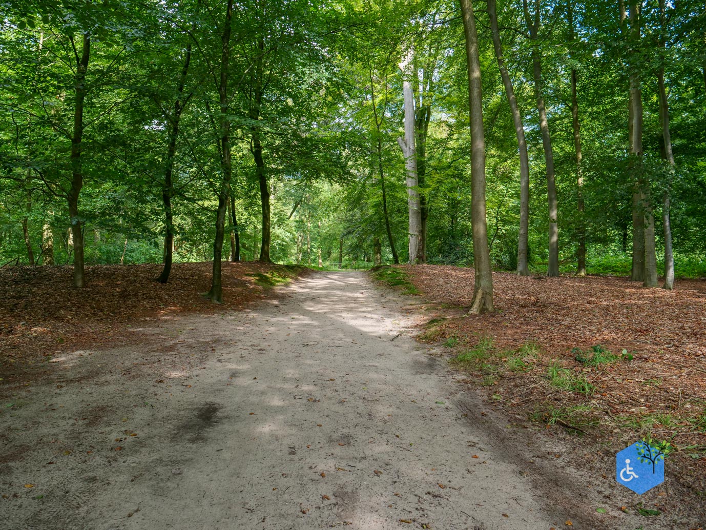 Doorn_Landgoed_Huis_Doorn_24-08-2024-29