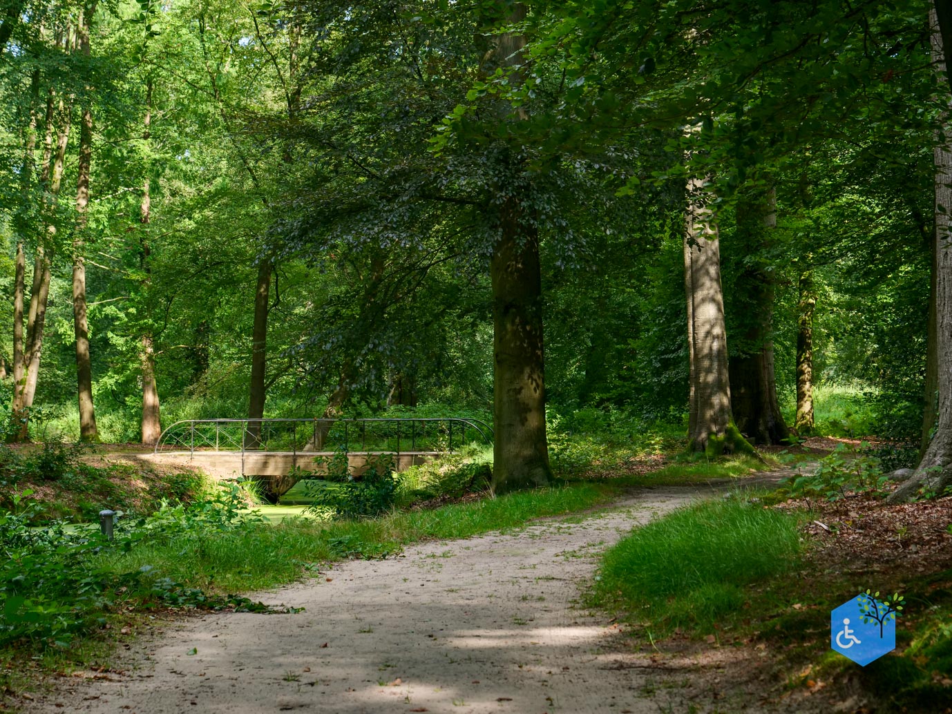 Doorn_Landgoed_Huis_Doorn_24-08-2024-30