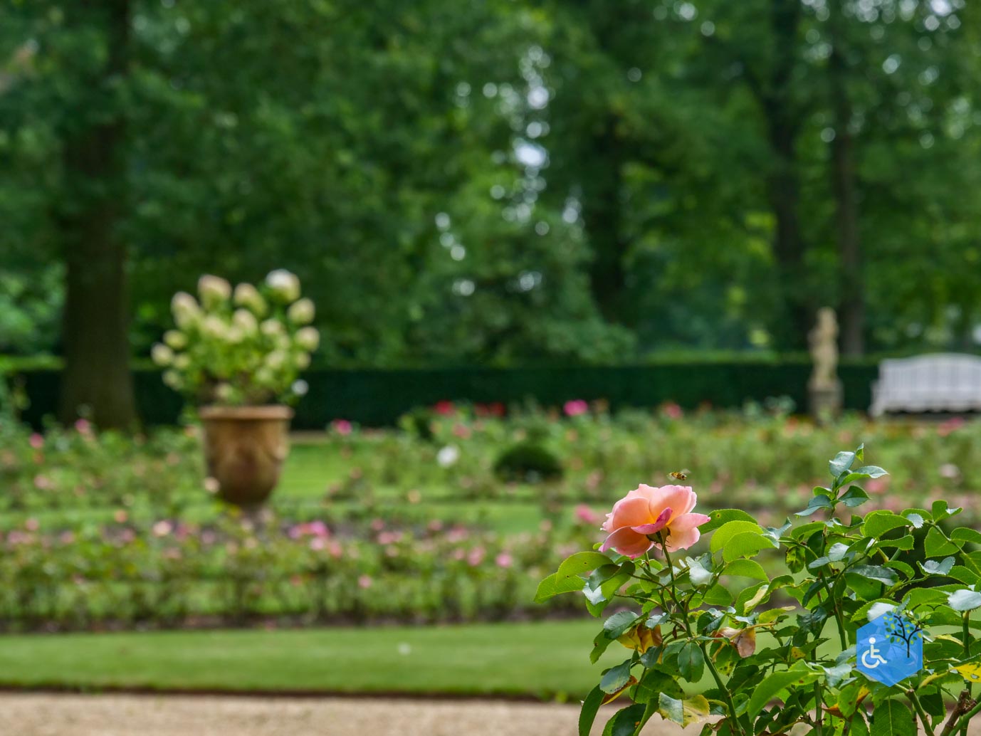 Doorn_Landgoed_Huis_Doorn_24-08-2024-33