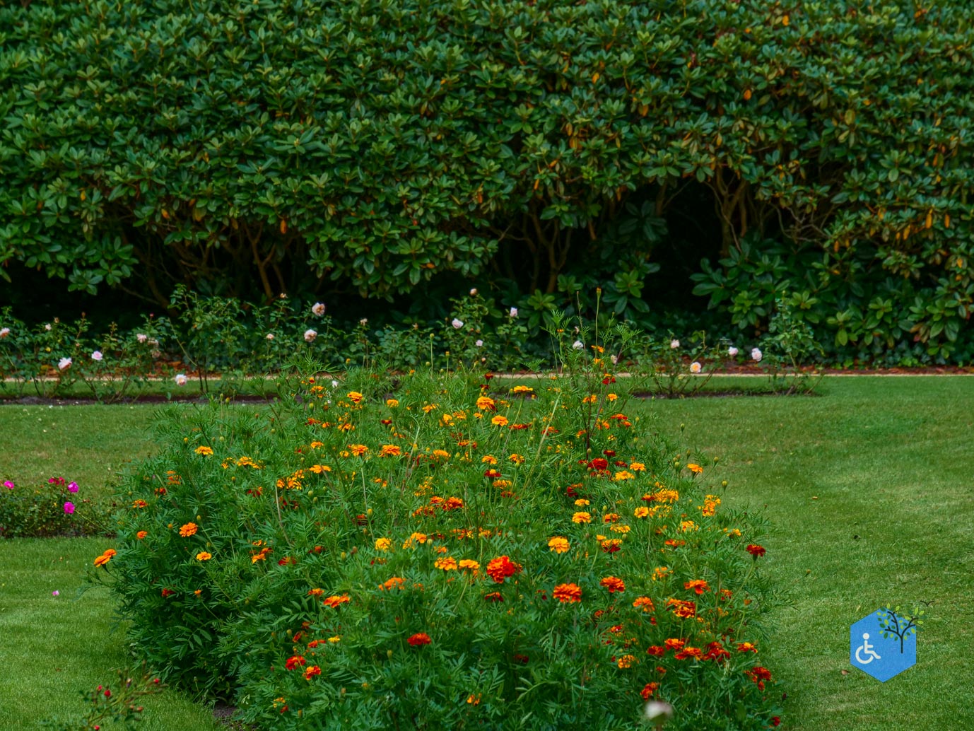 Doorn_Landgoed_Huis_Doorn_24-08-2024-39