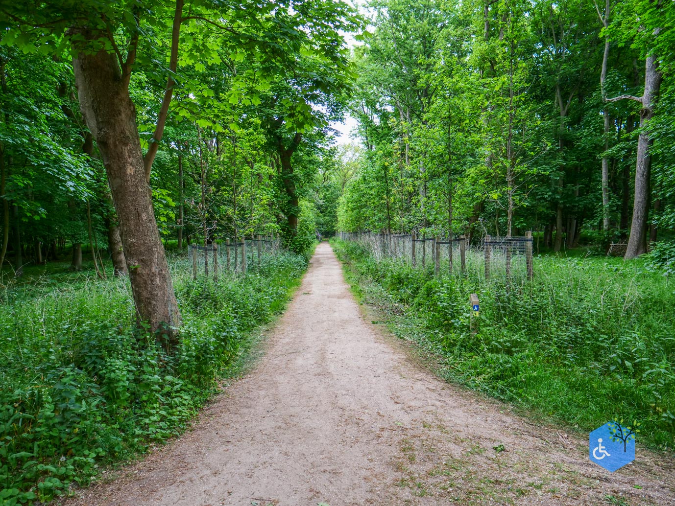 Oostkapelle_rondje_Buitenplaats_Berkenbosch_16-05-2025-09