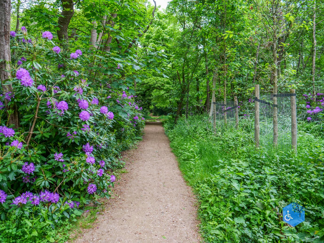Oostkapelle_rondje_Buitenplaats_Berkenbosch_16-05-2025-10