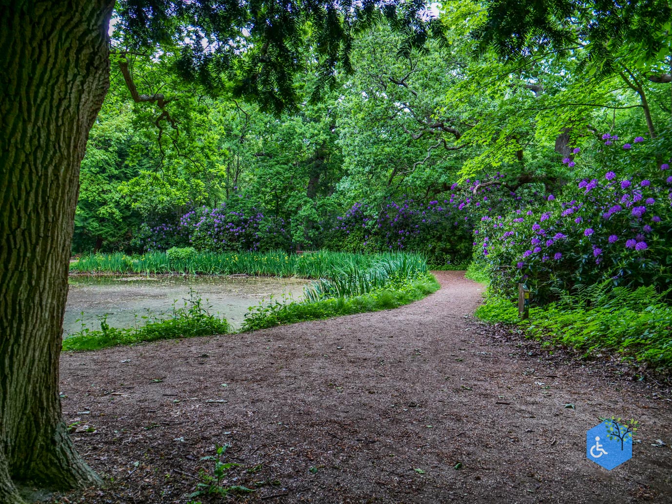 Oostkapelle_rondje_Buitenplaats_Berkenbosch_16-05-2025-12
