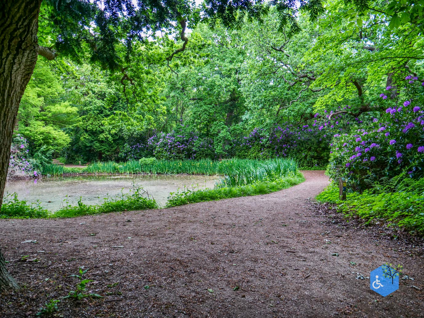 Oostkapelle_rondje_Buitenplaats_Berkenbosch_16-05-2025-13