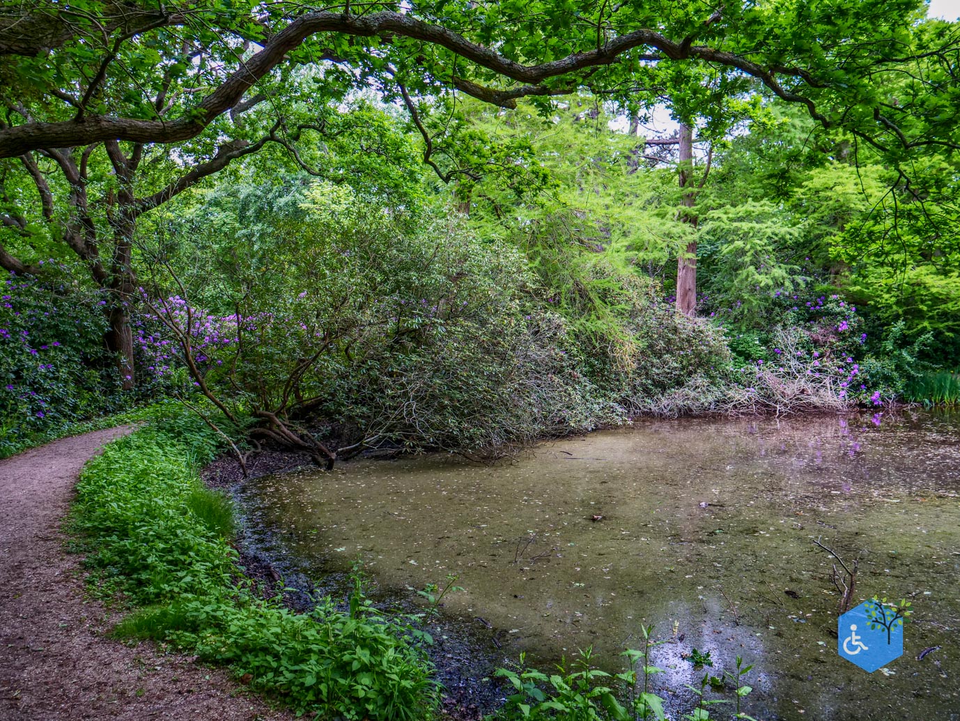 Oostkapelle_rondje_Buitenplaats_Berkenbosch_16-05-2025-14
