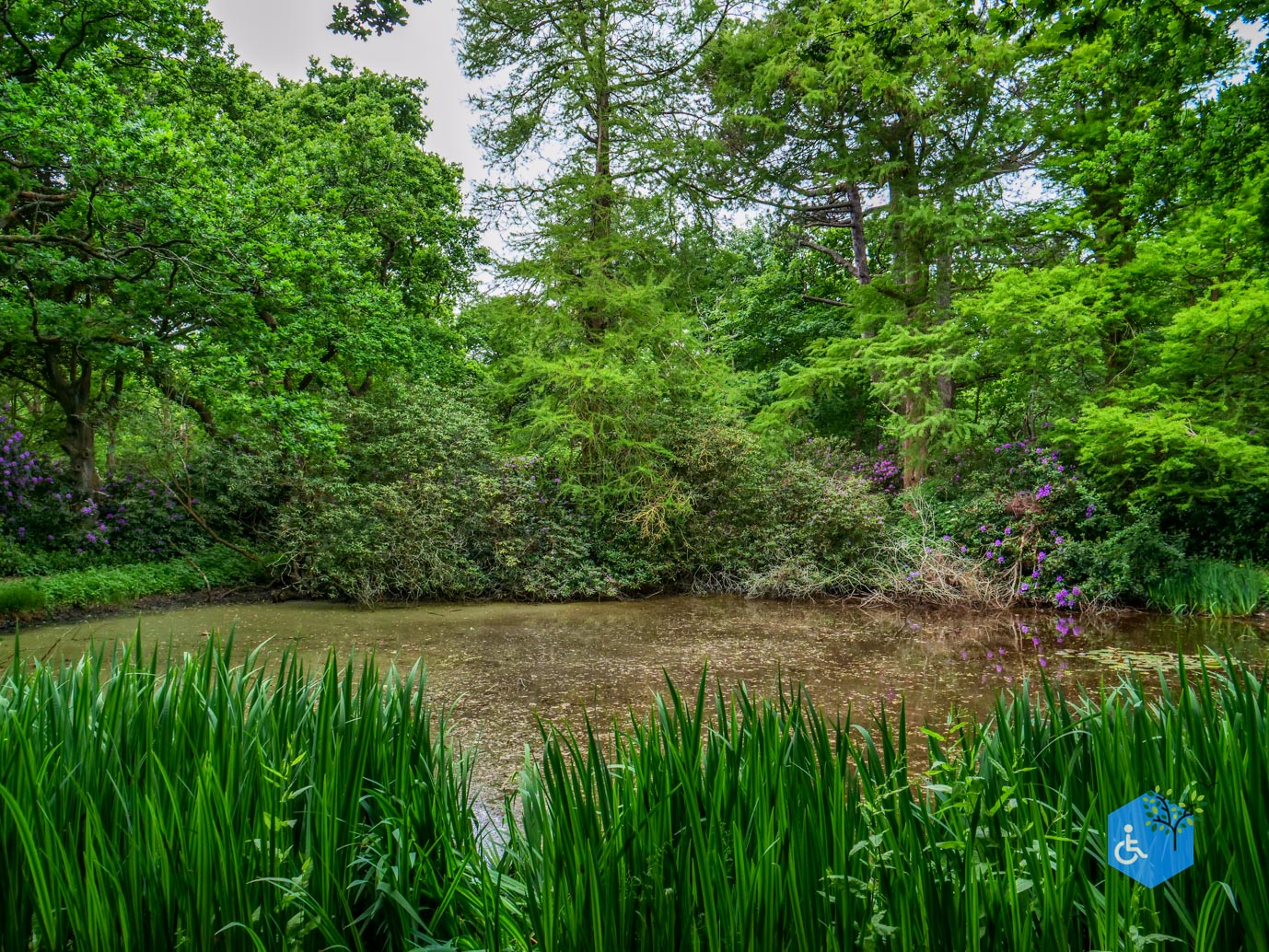 Oostkapelle_rondje_Buitenplaats_Berkenbosch_16-05-2025-15