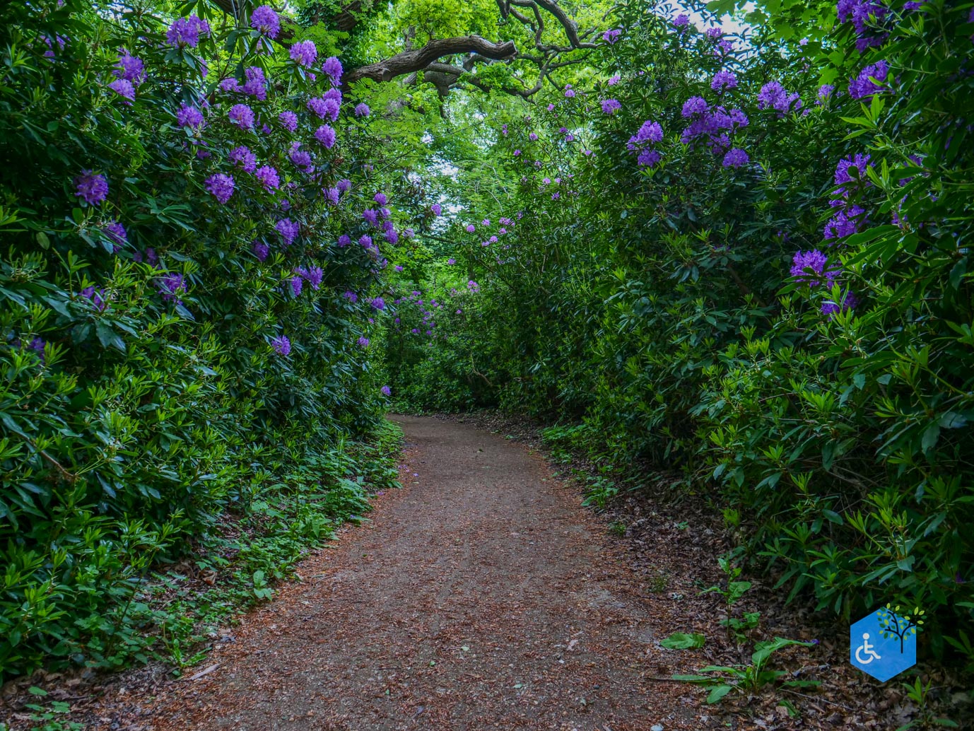 Oostkapelle_rondje_Buitenplaats_Berkenbosch_16-05-2025-16