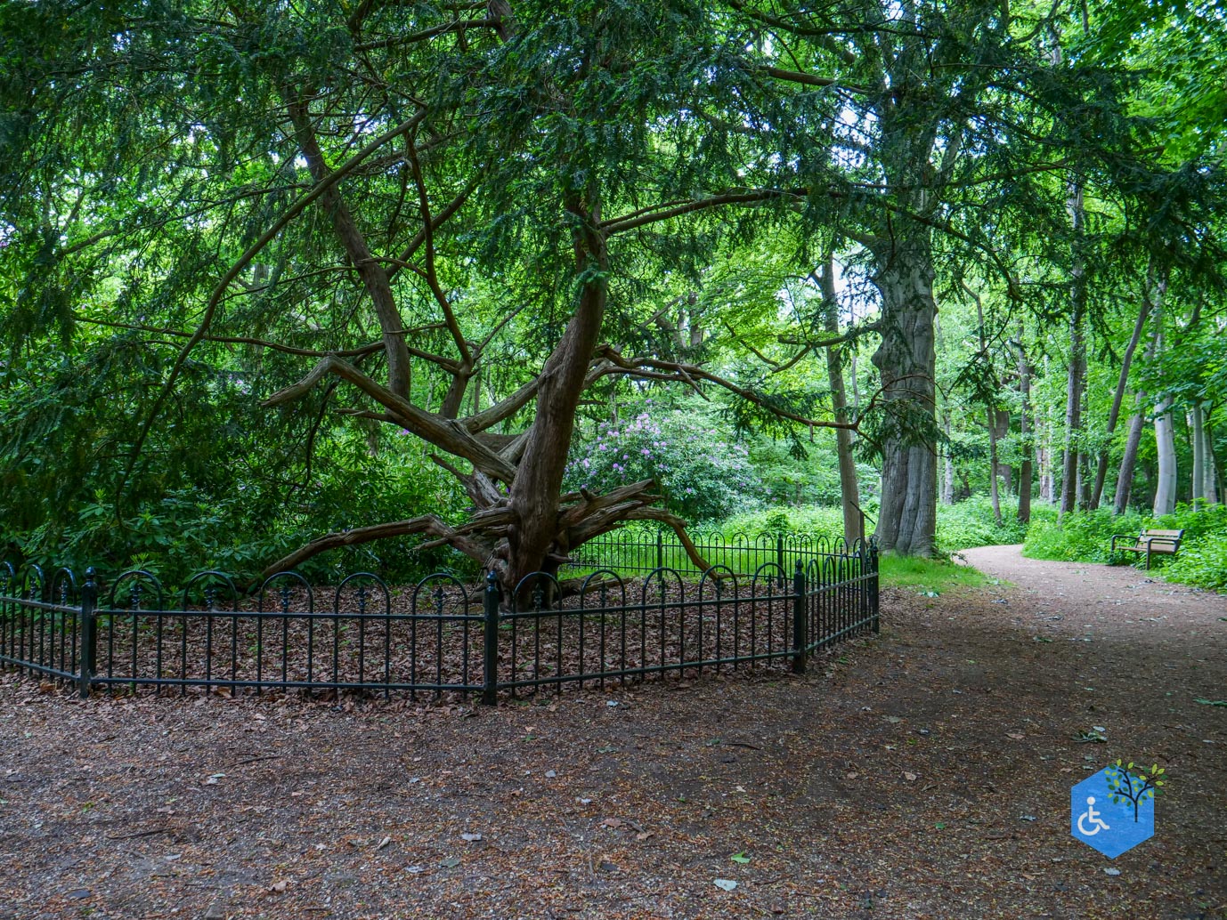 Oostkapelle_rondje_Buitenplaats_Berkenbosch_16-05-2025-18