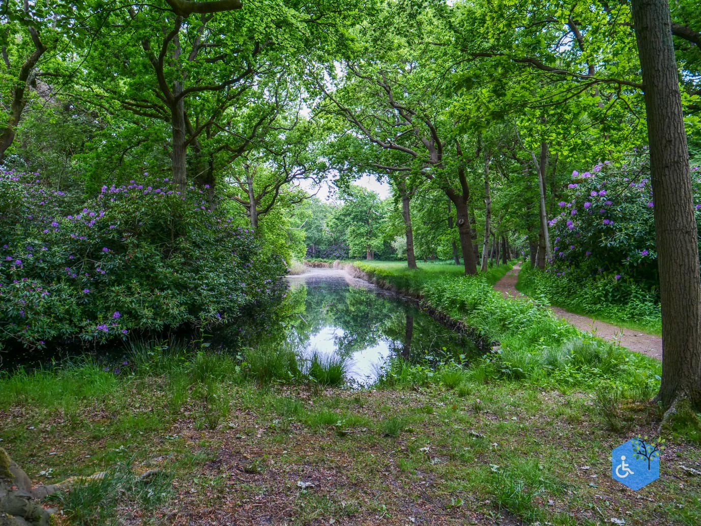 Oostkapelle_rondje_Buitenplaats_Berkenbosch_16-05-2025-19