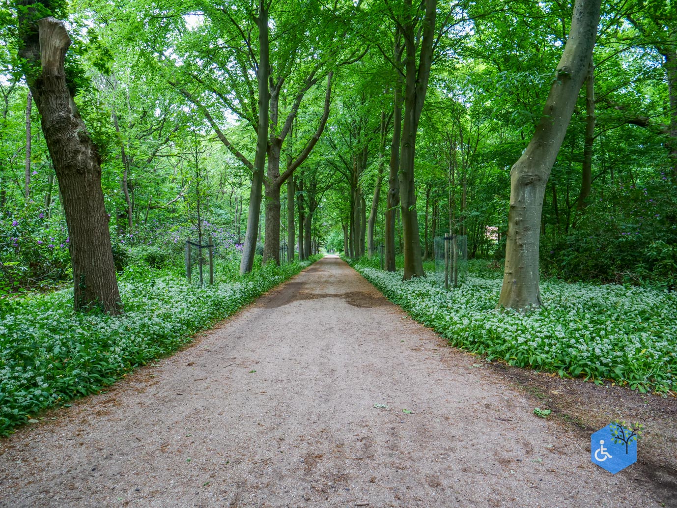 Oostkapelle_rondje_Buitenplaats_Berkenbosch_16-05-2025-20