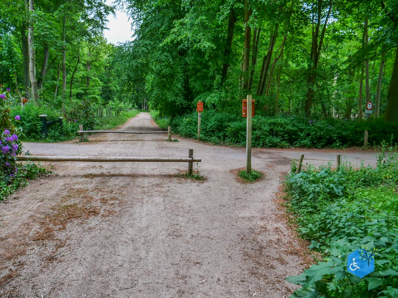 Oostkapelle_rondje_Buitenplaats_Berkenbosch_16-05-2025-21