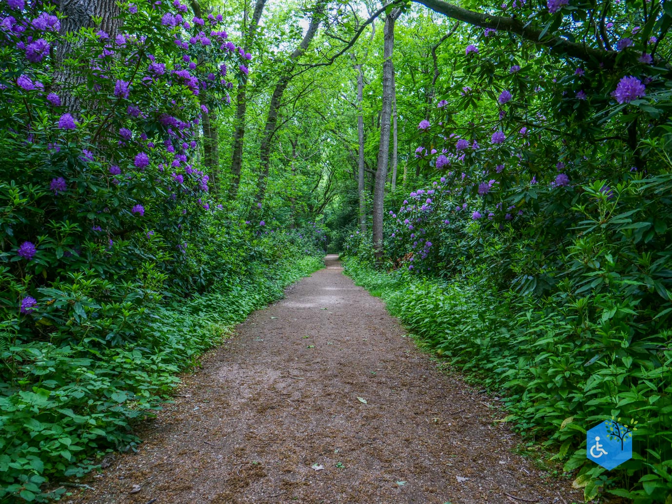 Oostkapelle_rondje_Buitenplaats_Berkenbosch_16-05-2025-25