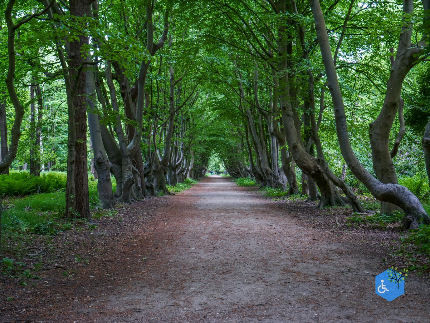 Oostkapelle_rondje_Buitenplaats_Berkenbosch_16-05-2025-26