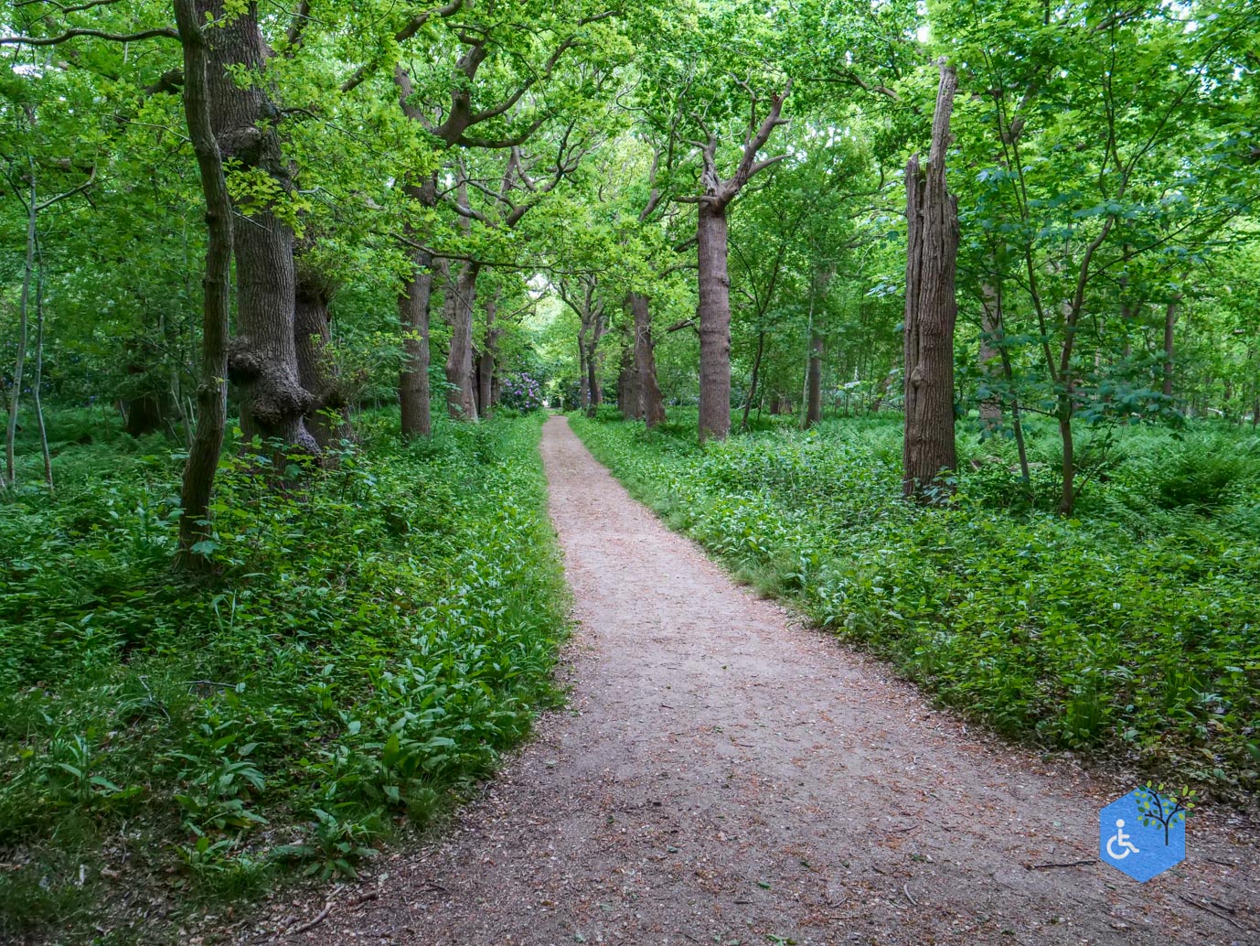 Oostkapelle_rondje_Buitenplaats_Berkenbosch_16-05-2025-28