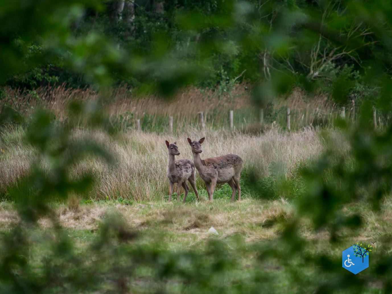 Oostkapelle_rondje_Buitenplaats_Berkenbosch_16-05-2025-29