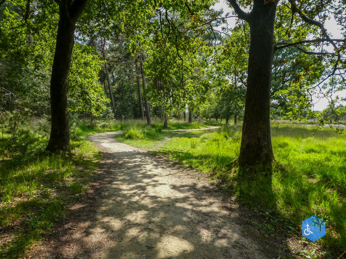 Boxtel_Van_Tienhoven_Route_30-07-2025-21