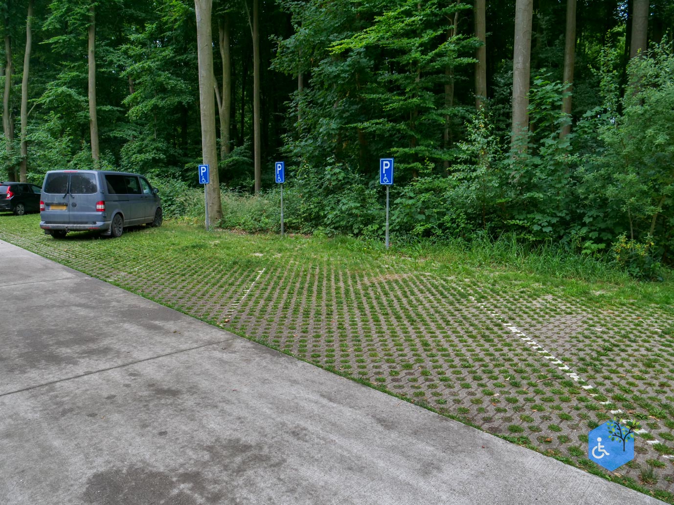 Marknesse_Waterloopbos_06-07-2025-001