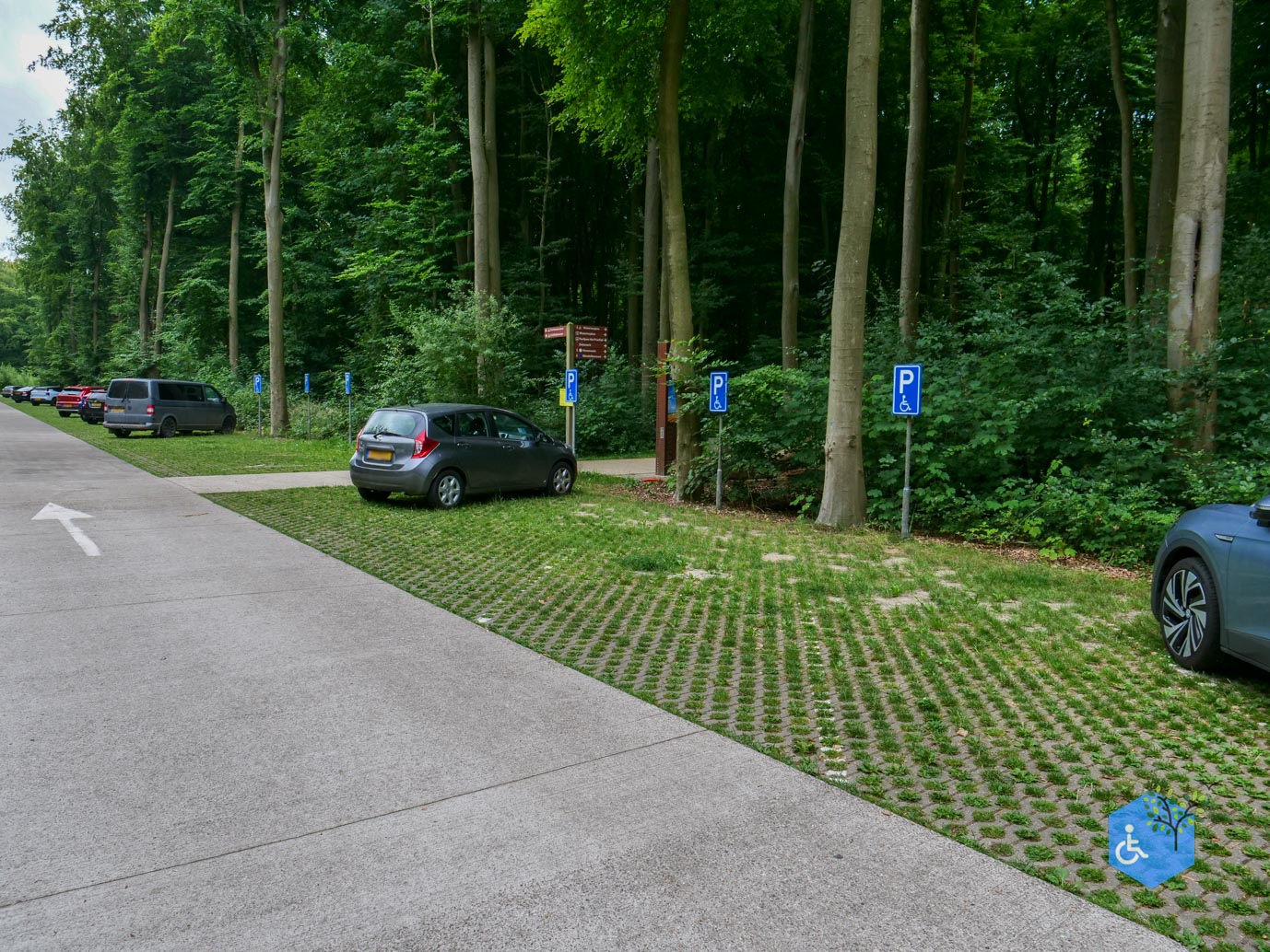 Marknesse_Waterloopbos_06-07-2025-002
