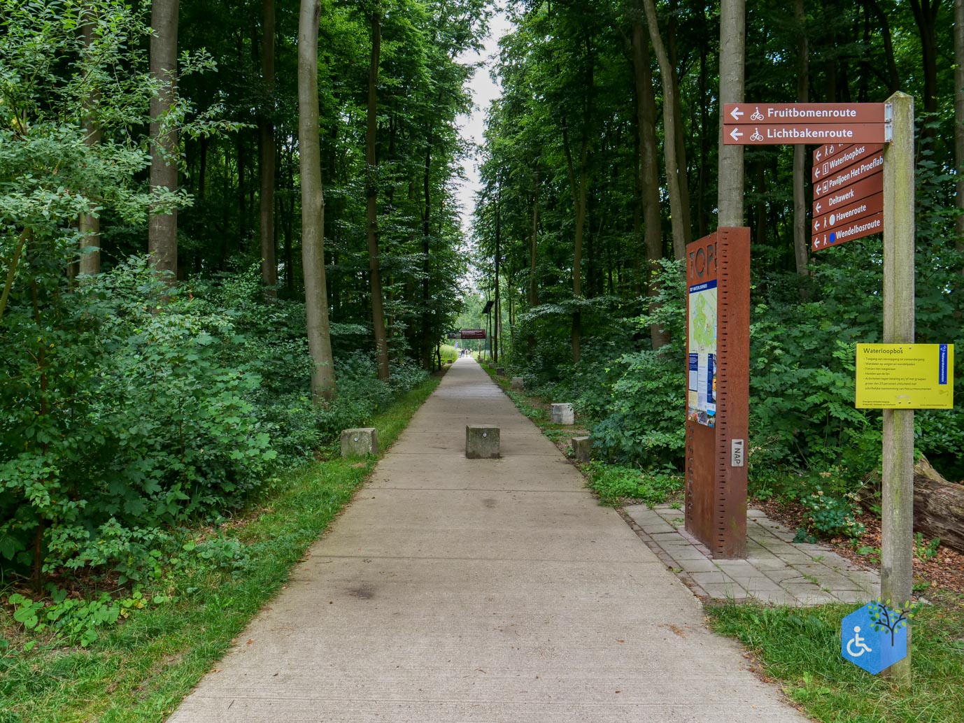Marknesse_Waterloopbos_06-07-2025-003