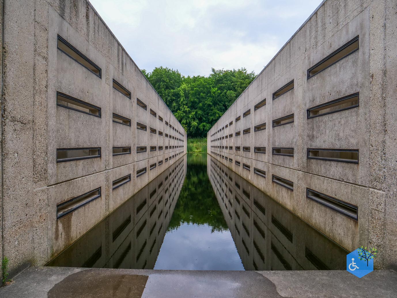 Marknesse_Waterloopbos_06-07-2025-017