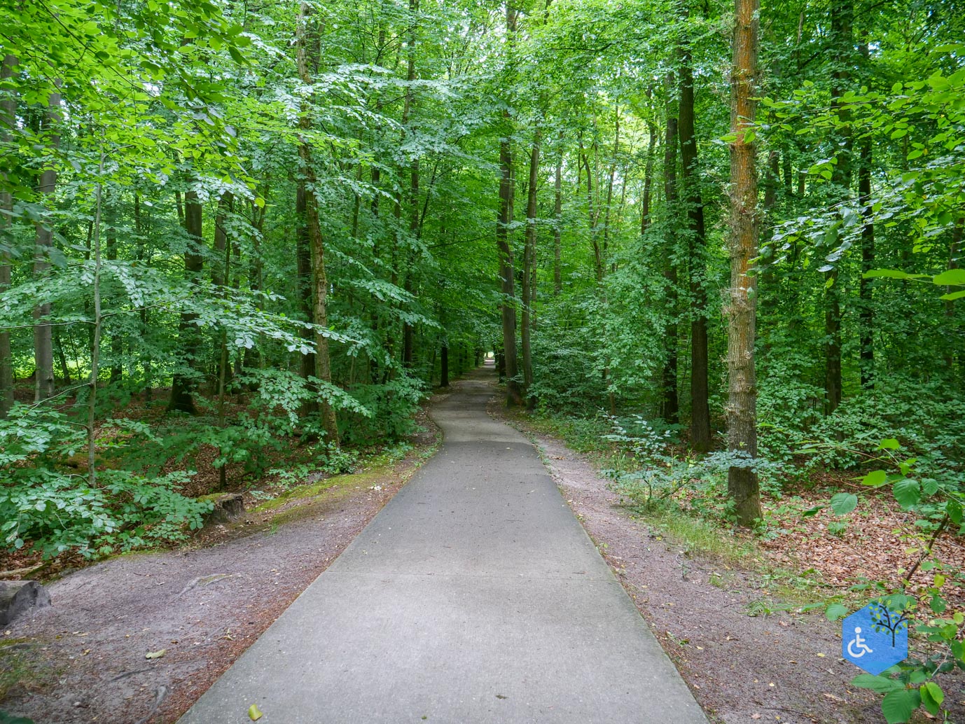 Marknesse_Waterloopbos_06-07-2025-025