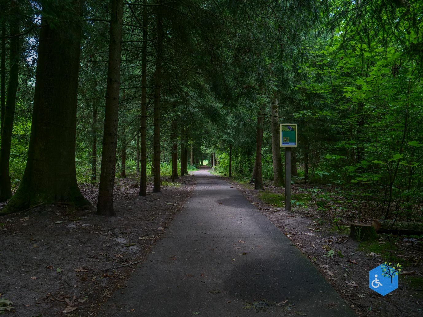 Marknesse_Waterloopbos_06-07-2025-031