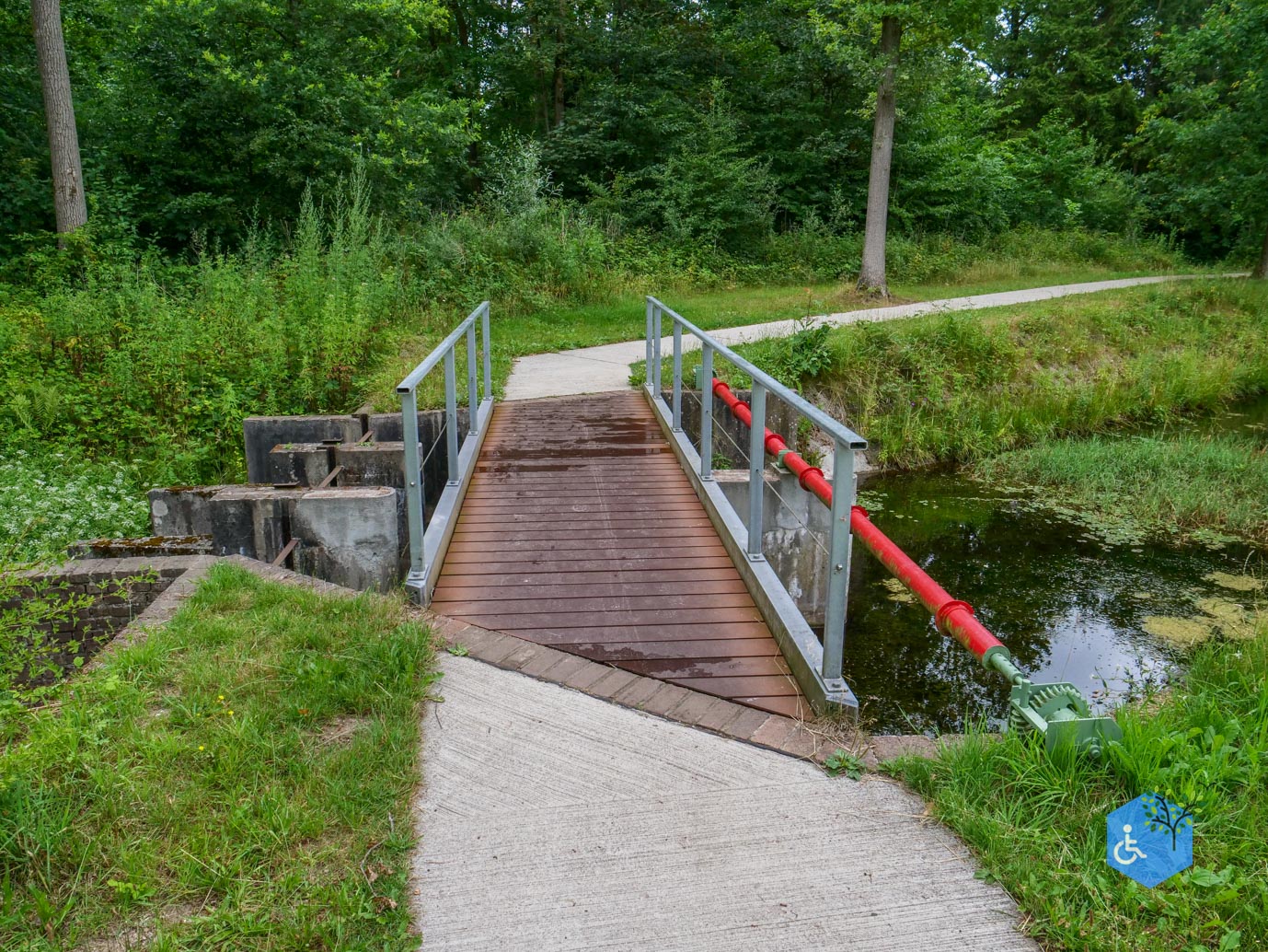 Marknesse_Waterloopbos_06-07-2025-038