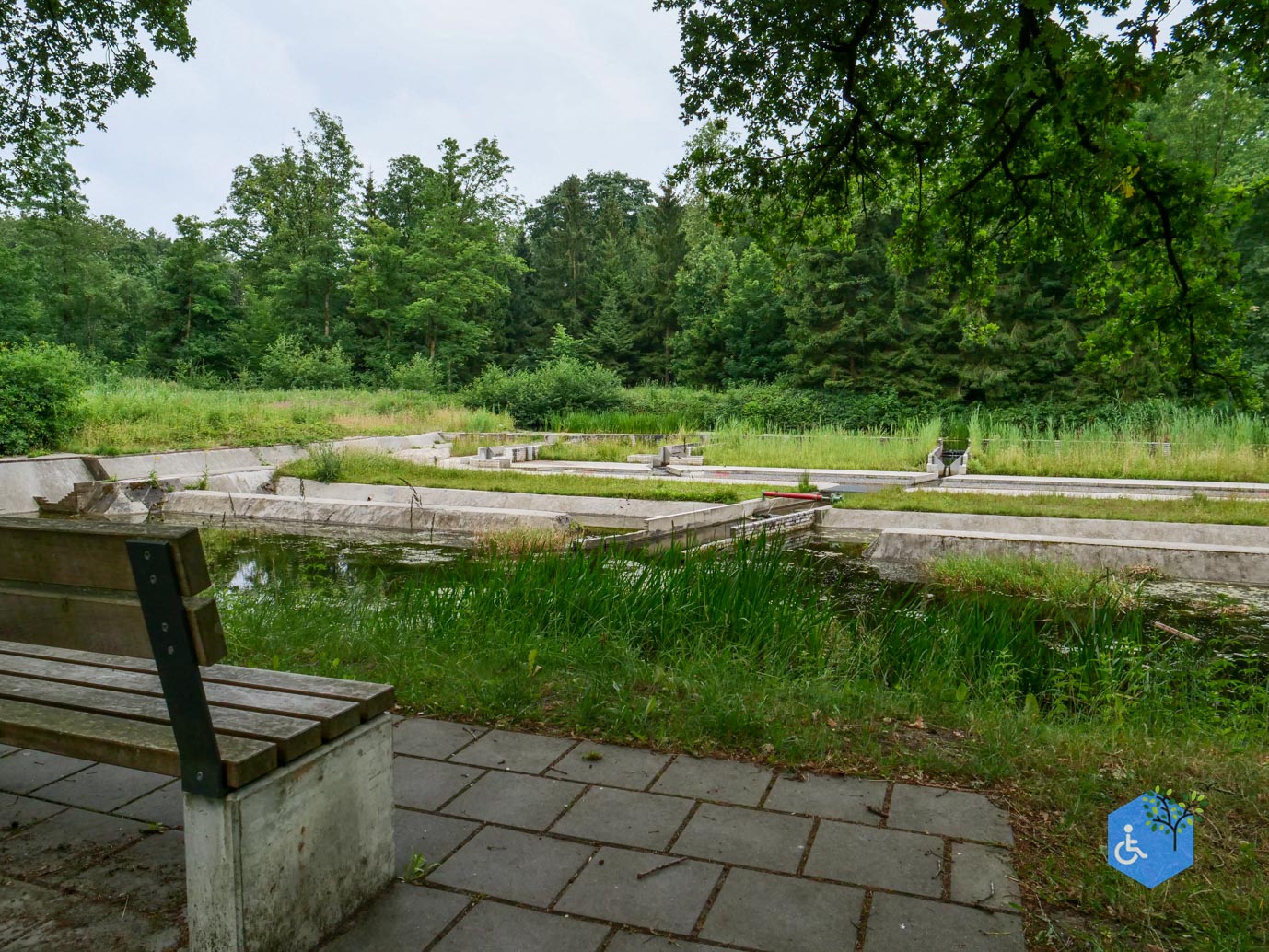 Marknesse_Waterloopbos_06-07-2025-040