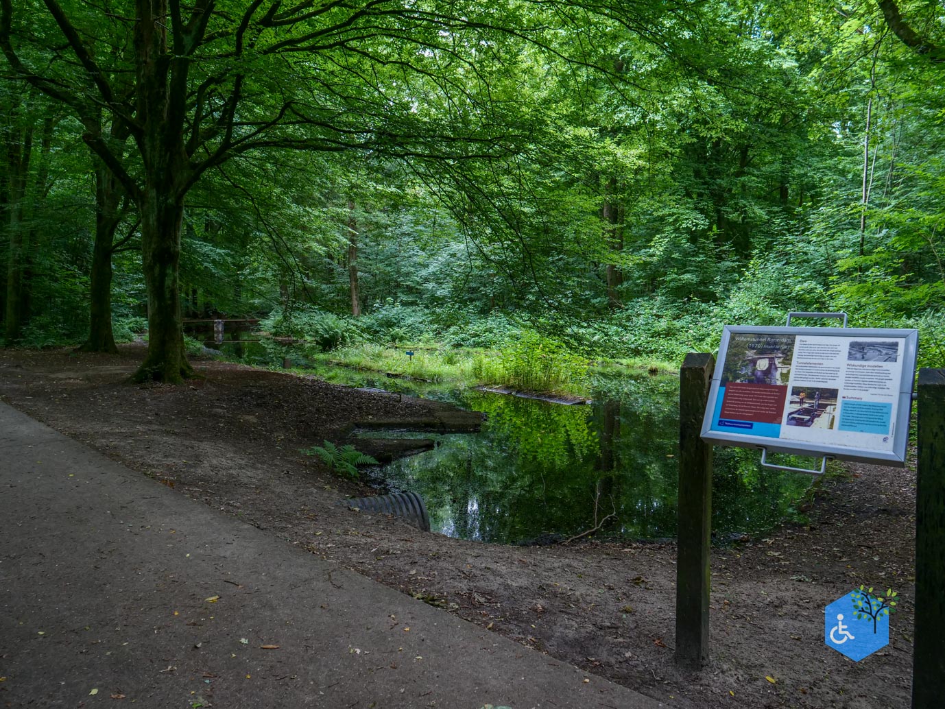 Marknesse_Waterloopbos_06-07-2025-057