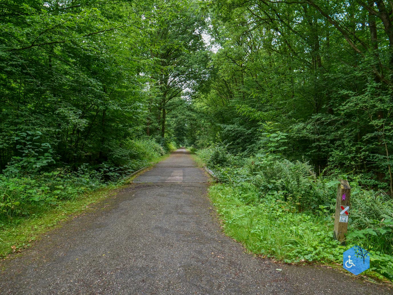 Marknesse_Waterloopbos_06-07-2025-065