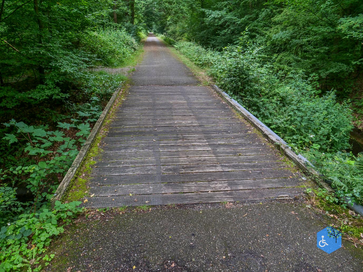 Marknesse_Waterloopbos_06-07-2025-066