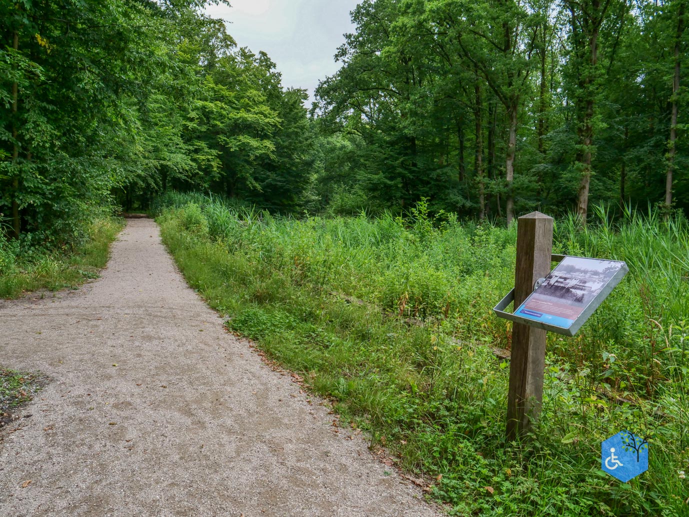Marknesse_Waterloopbos_06-07-2025-071