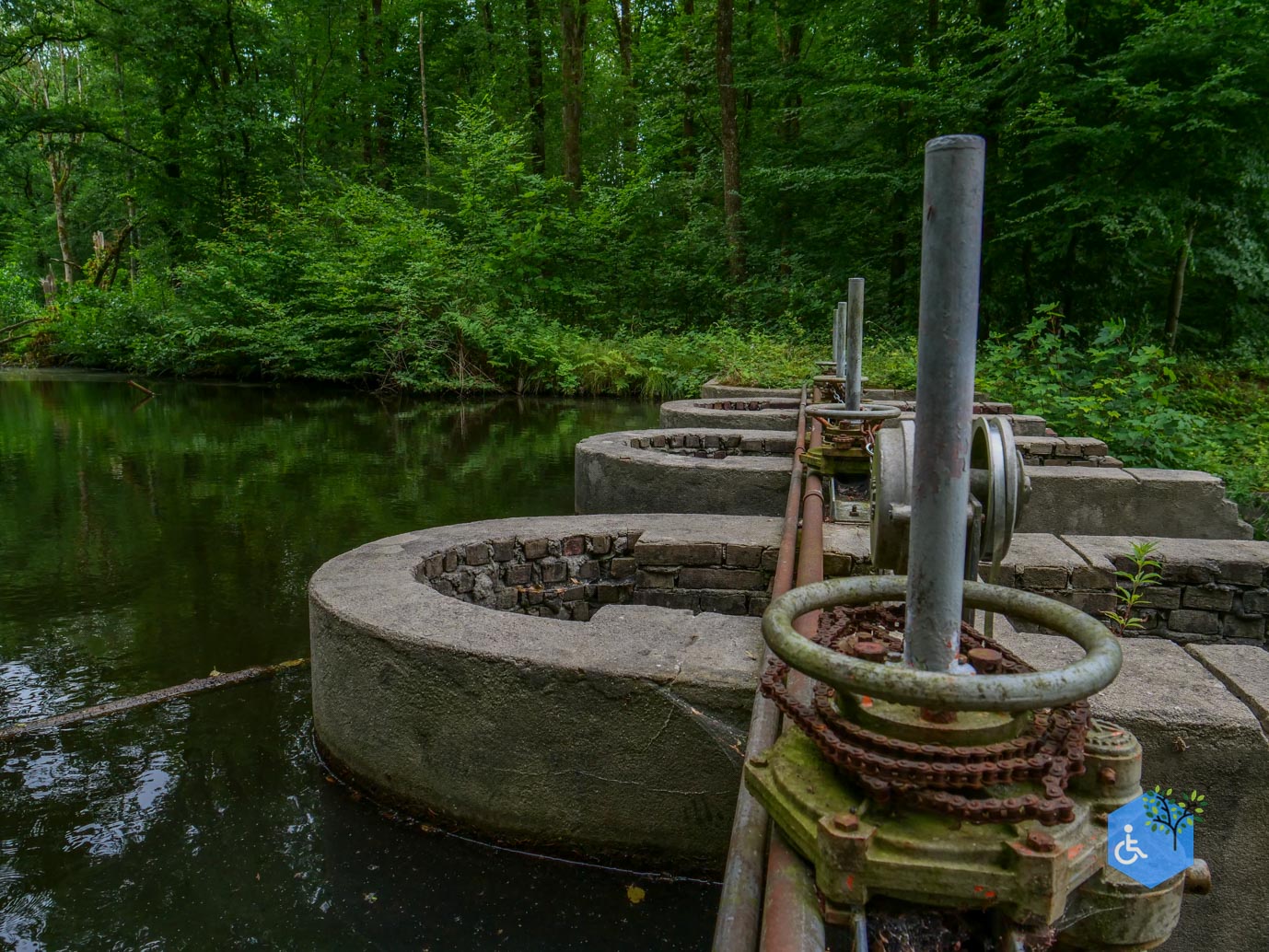 Marknesse_Waterloopbos_06-07-2025-073
