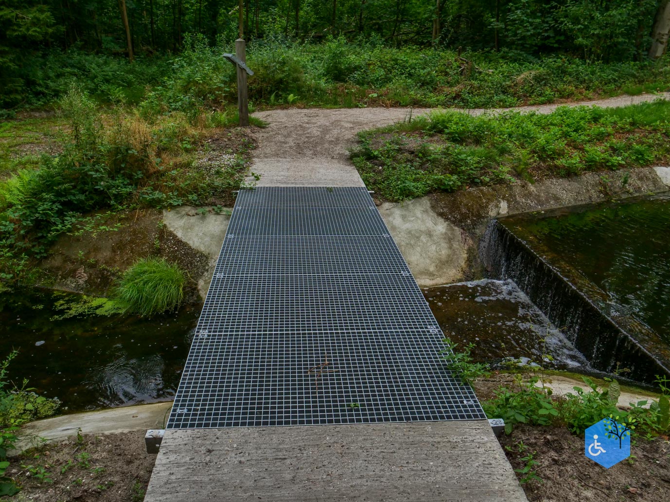 Marknesse_Waterloopbos_06-07-2025-078